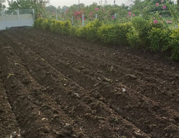 drip irrigation company in india PIAL